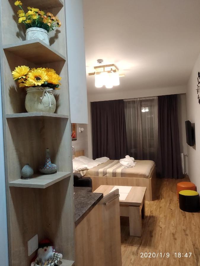 Neu Gudauri Loft2 С Видом На Горы エクステリア 写真