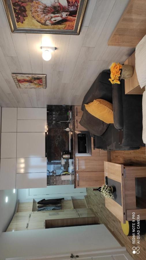 Neu Gudauri Loft2 С Видом На Горы エクステリア 写真